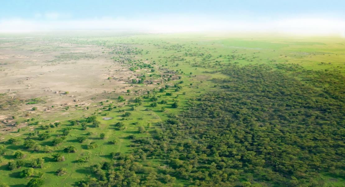 The great green wall project