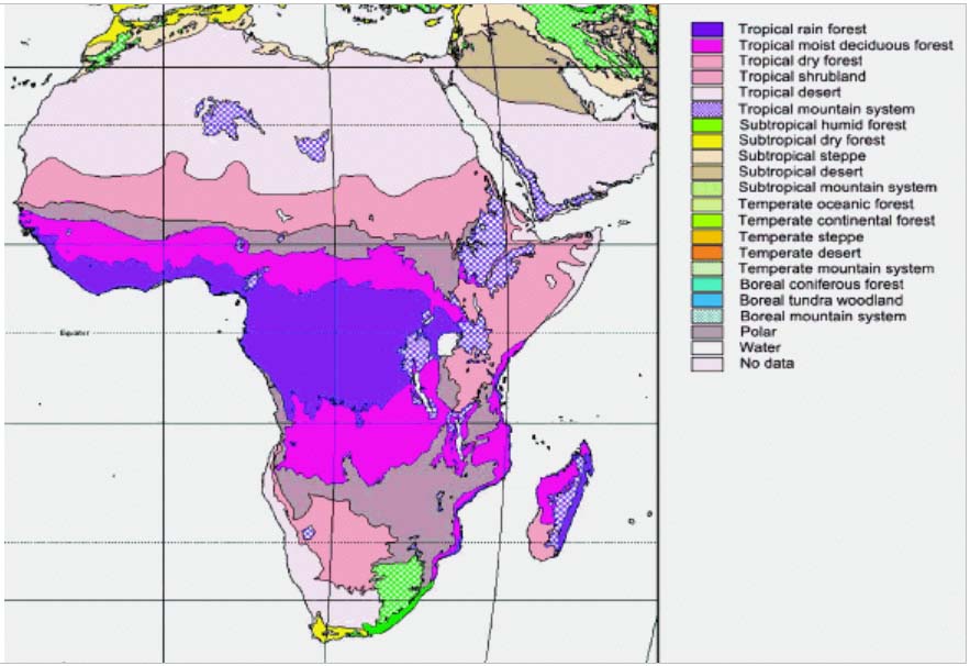 Africa ecological zones. Global Forest Resources Assessment 200, FAO